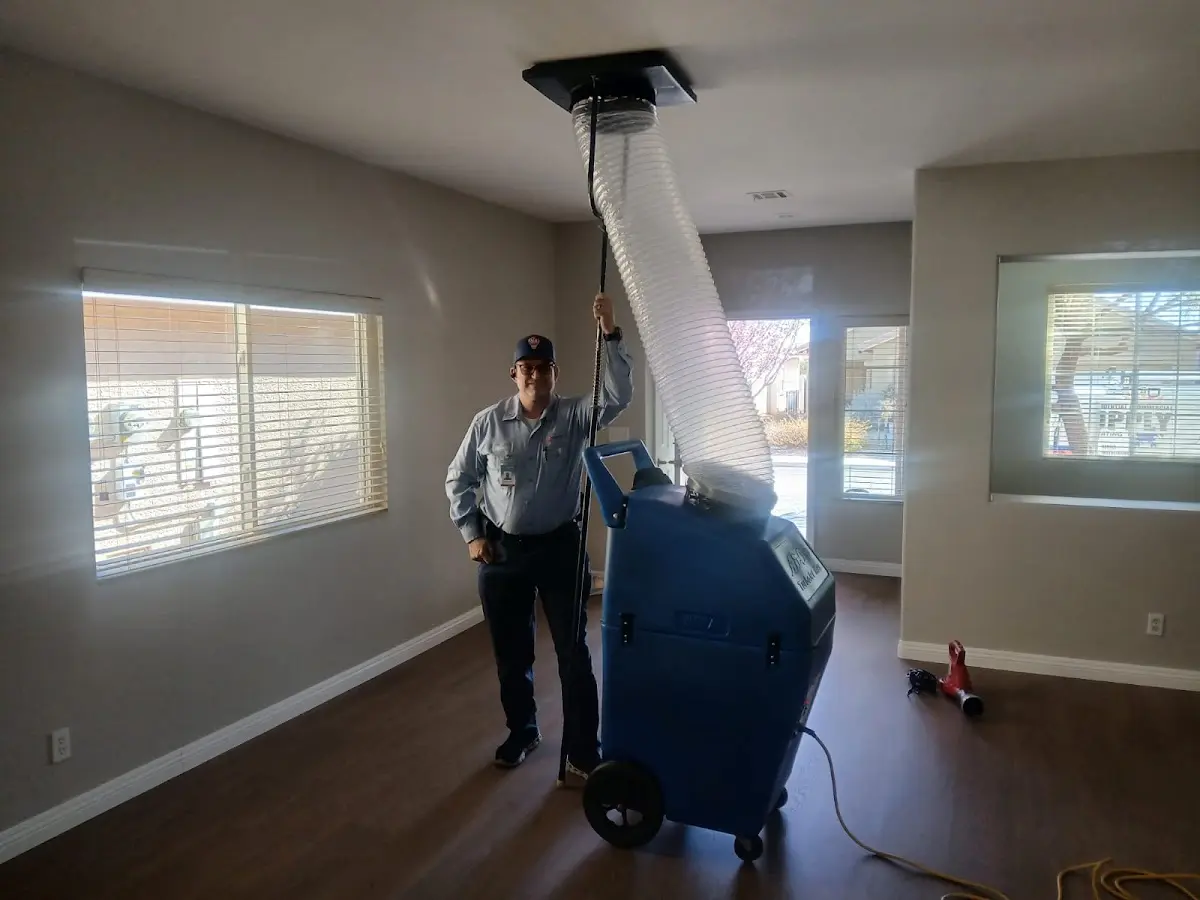 Professional Dryer Vent Cleaning work inside a Warrington home
